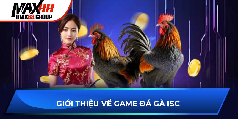 Giới thiệu về game đá gà ISC