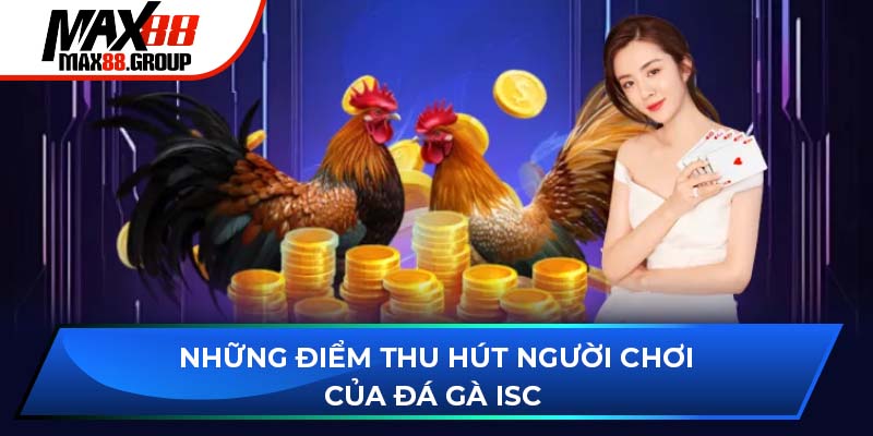 Những điểm thu hút người chơi của sảnh đá gà ISC