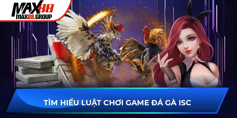 Tìm hiểu luật chơi game đá gà ISC