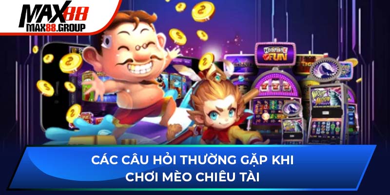 Các câu hỏi thường gặp khi chơi Mèo Chiêu Tài