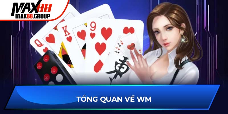 Tổng quan về WM